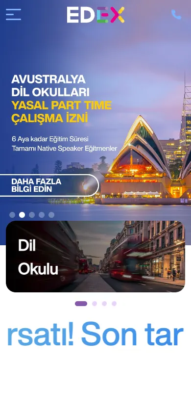 EDEX web sitesi mobil görünümü