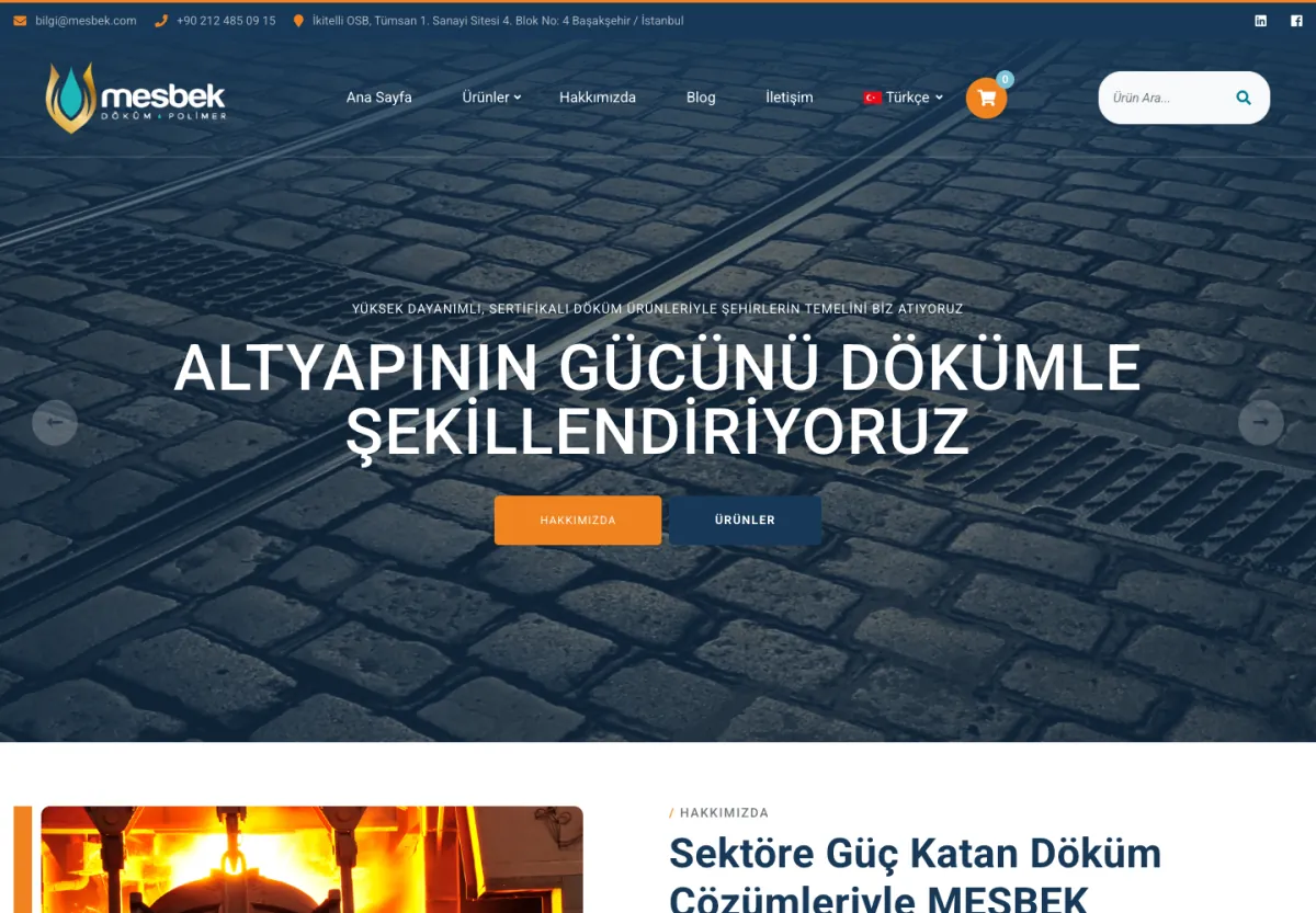 MESBEK web sitesi masaüstü görünümü