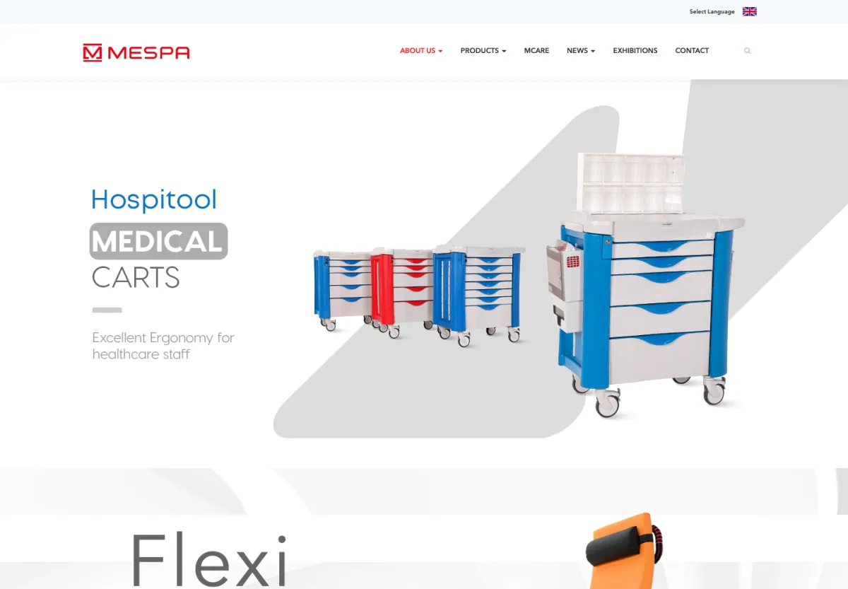 MESPA Global web sitesi masaüstü görünümü